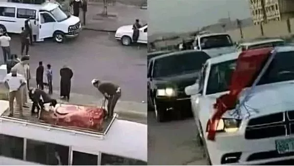 لمحة نيوز
