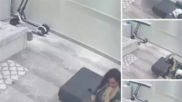 لمحة نيوز