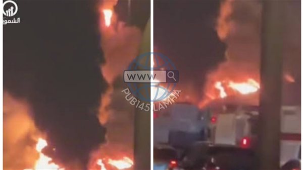 لمحة نيوز